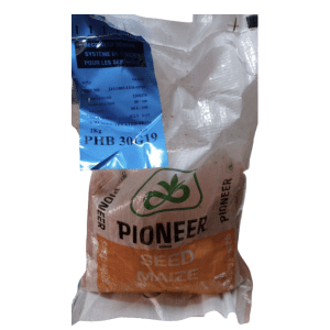 PIONEER PHB30G19 Hybrid Maize Seeds 5K 2KG