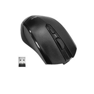 Wireless Mouse RF5500